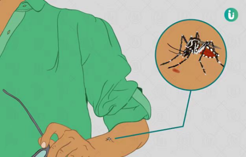 防止疟疾再传播，持续巩固消除成果　——第17个“全国疟疾日”