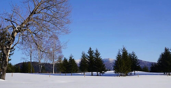 DM_20251124094703_001.jpg DM_20251124094703_001.jpg