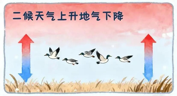 DM_20251124094703_003.jpg DM_20251124094703_003.jpg