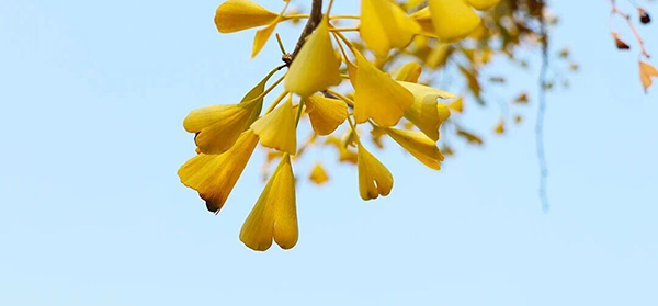 DM_20251124094758_009.jpg DM_20251124094758_009.jpg