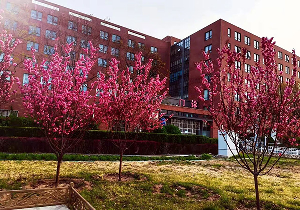 DM_20251229111309_035.jpg DM_20251229111309_035.jpg