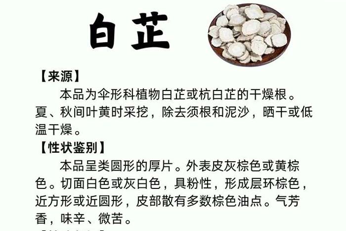 每周一药 | 解表药 | 白芷